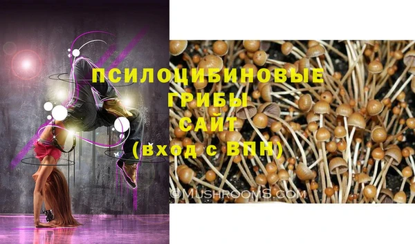 мдпв Няндома