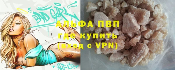 сатива Нягань