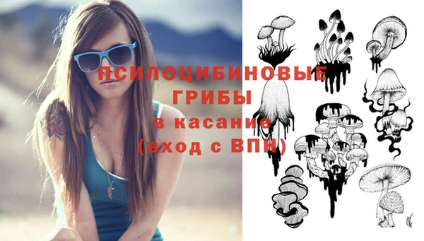 гидра Нязепетровск