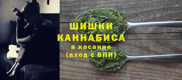 мдпв Няндома