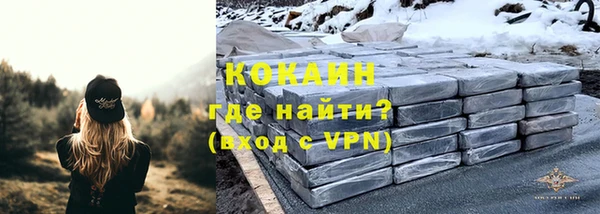 сатива Нягань