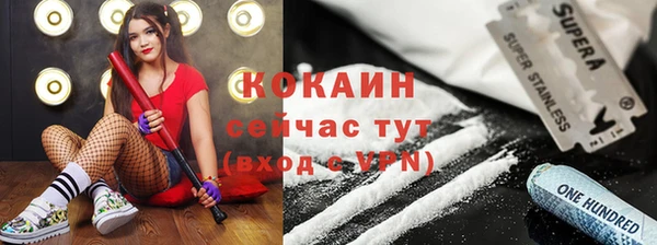 мдпв Няндома