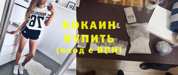 сатива Нягань