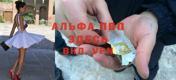 сатива Нягань