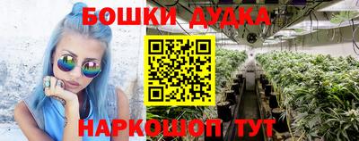 крисы Балаково