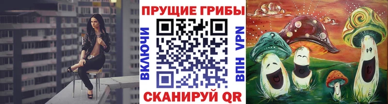 kraken онион  мориарти телеграм  Псилоцибиновые грибы Magic Shrooms  продажа наркотиков  Каспийск 