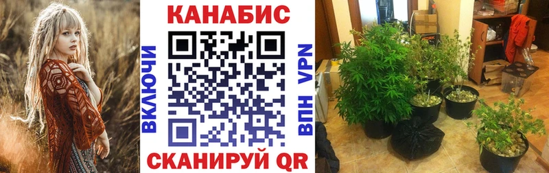 Конопля тримм  гидра tor  Каспийск  купить  